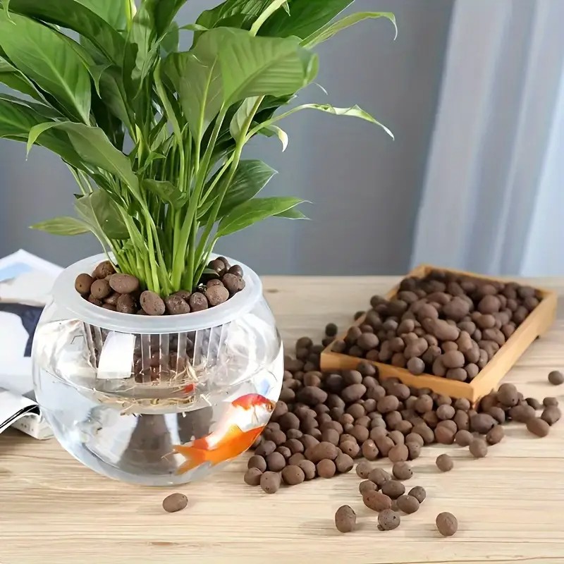 Lightweight & Breathable Terra - Aquarium Plants ulasan dan harga