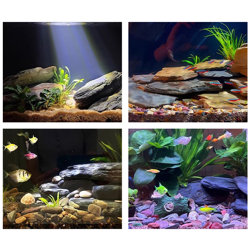 500/1000g Fish Tank Landscape  - Fish Tank Gravel ulasan dan harga