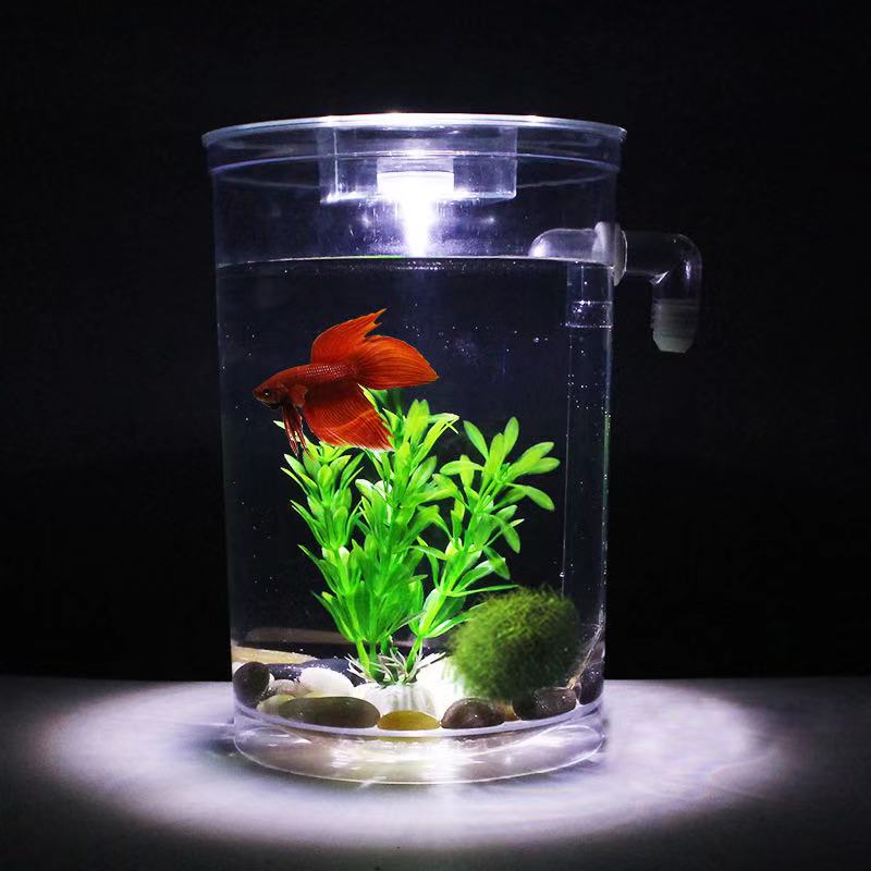Lazy Free Water Change Desktop - Aquarium Fish Betta ulasan dan harga