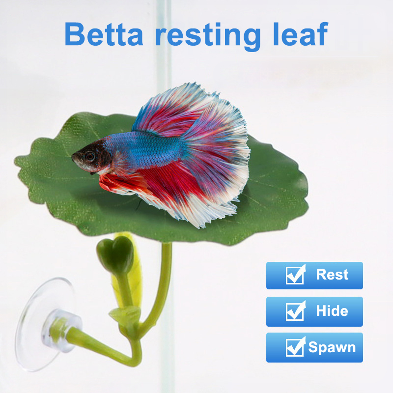 1PC Betta Fish Leaf Hammock Gr - Aquarium Fish Betta ulasan dan harga