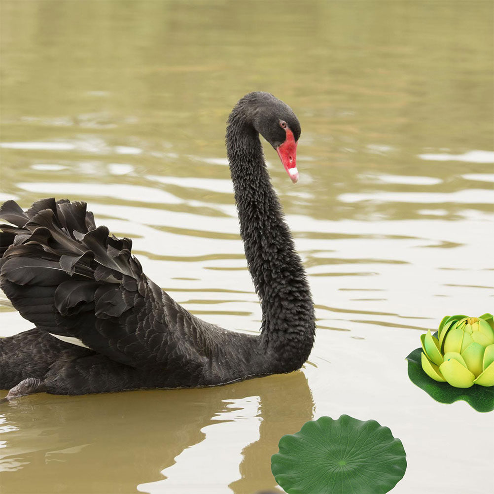 15Pcs Lifelike Lily Pads for A - Aquarium Plants ulasan dan harga