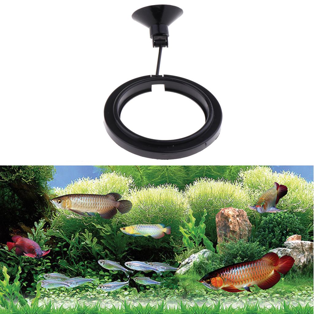 Fish Tank Feeder Floating Feed - Aquarium Fish Keeping ulasan dan harga