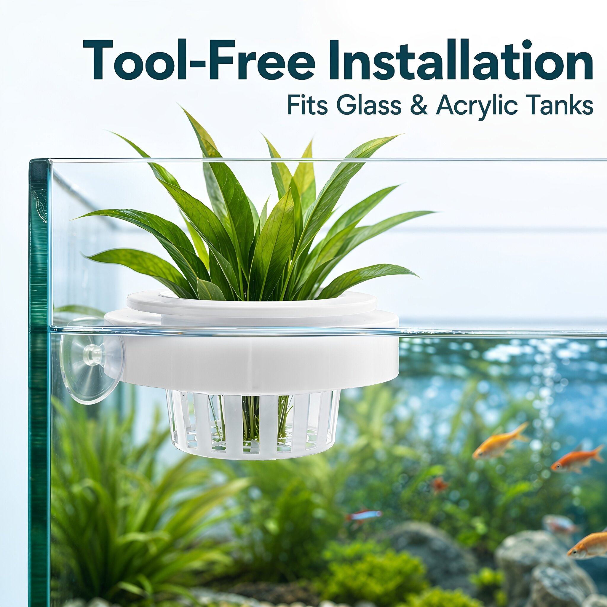 4pcs Floating Aquarium Plant B - Aquarium Plants ulasan dan harga