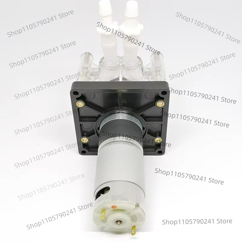 Peristaltic Pump DC 12V/24V 30 - Aquarium Pump ulasan dan harga