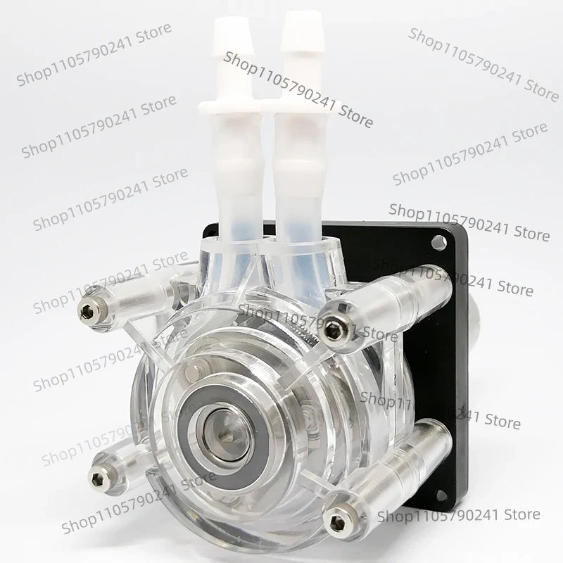 Peristaltic Pump DC 12V/24V 30 - Aquarium Pump ulasan dan harga