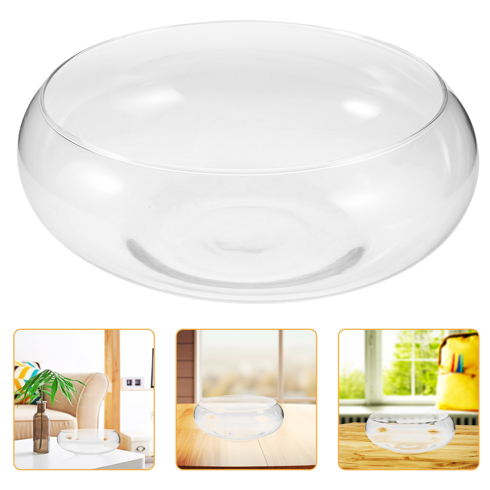 Glass Hydroponic Planter Bowl  - Aquarium Plants ulasan dan harga
